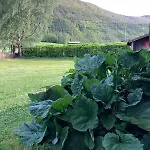 Villa Frisvoll I Mountain