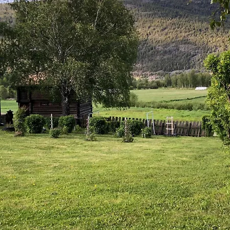 Frisvoll I Mountain